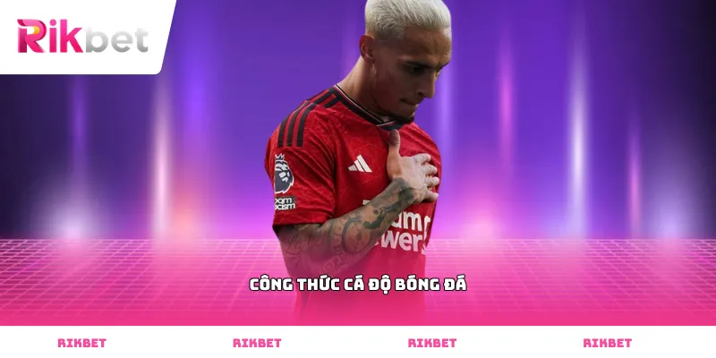 Công thức cá độ bóng đá